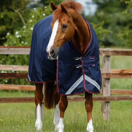 Premier Equine Titan 200g Original Turnout Rug by Premier Equine at  Try a Bit