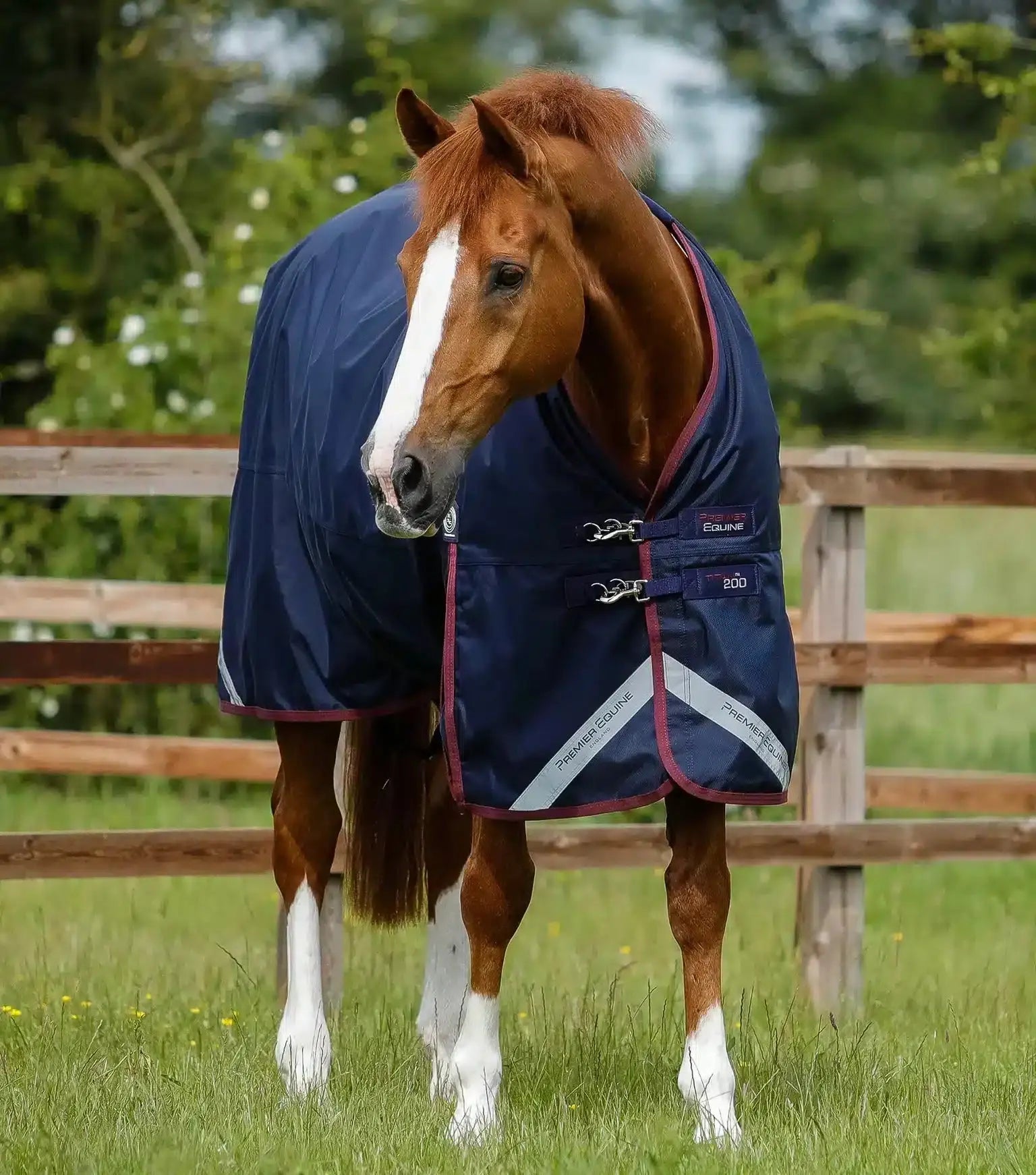 Premier Equine Titan 200g Original Turnout Rug by Premier Equine at  Try a Bit