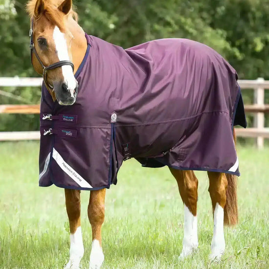 Premier Equine Titan 200g Original Turnout Rug by Premier Equine at  Try a Bit