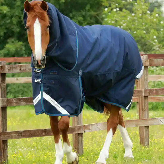 Premier Equine Titan 200g Turnout Rug with Snug-Fit Neck Cover by Premier Equine at  Try a Bit