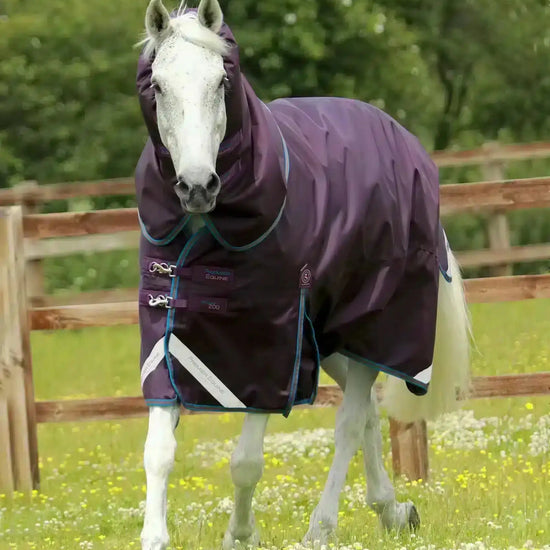 Premier Equine Titan 200g Turnout Rug with Snug-Fit Neck Cover by Premier Equine at  Try a Bit