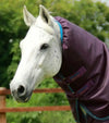 Premier Equine Titan 200g Turnout Rug with Snug-Fit Neck Cover by Premier Equine at  Try a Bit
