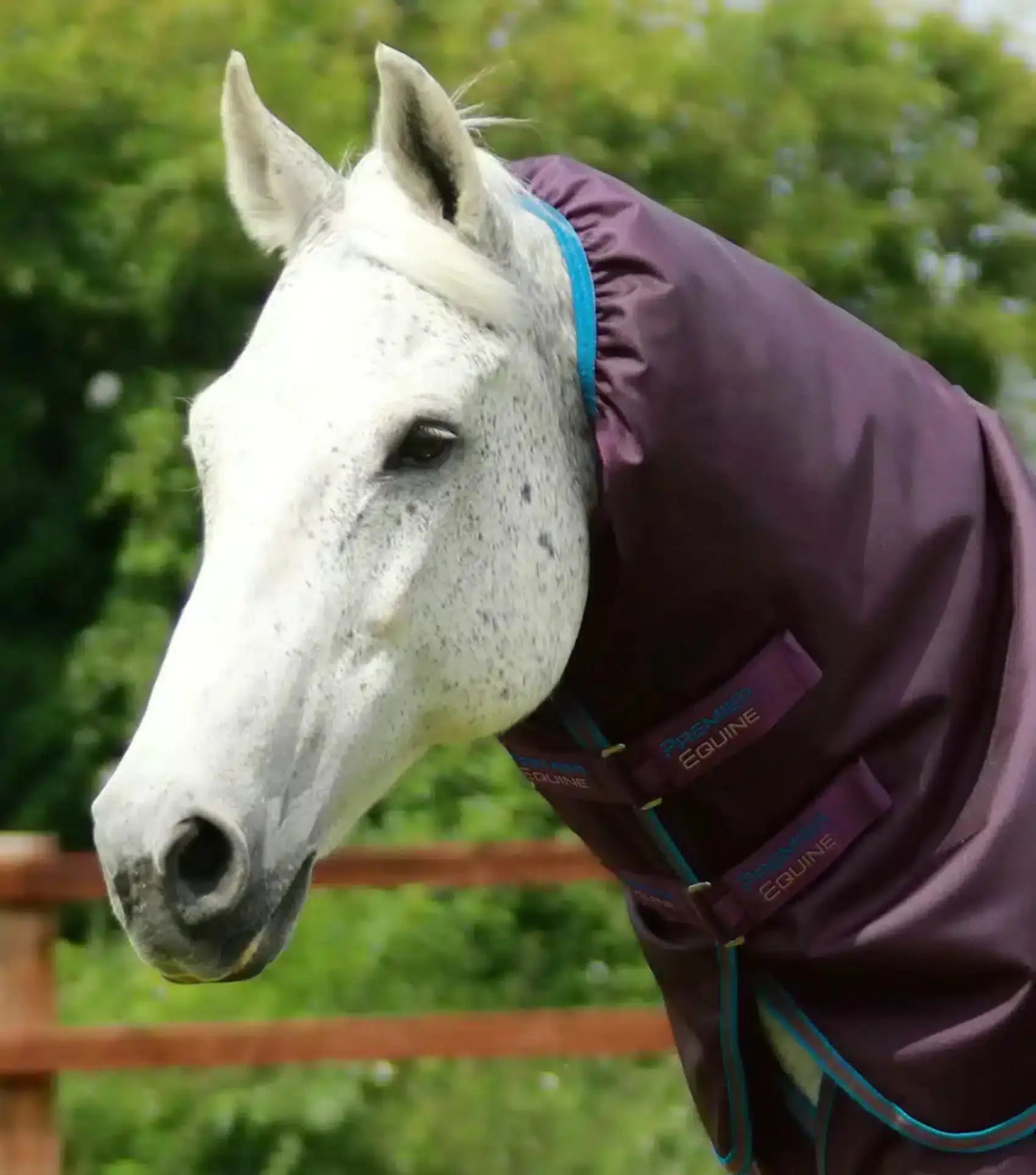 Premier Equine Titan 200g Turnout Rug with Snug-Fit Neck Cover by Premier Equine at  Try a Bit