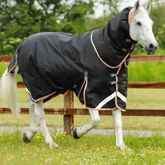Premier Equine Titan 300g Turnout Rug with Snug-Fit Neck Cover by Premier Equine at  Try a Bit
