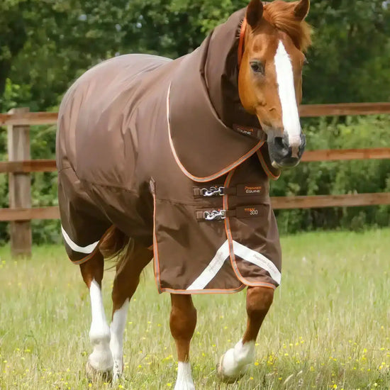 Premier Equine Titan 300g Turnout Rug with Snug-Fit Neck Cover by Premier Equine at  Try a Bit