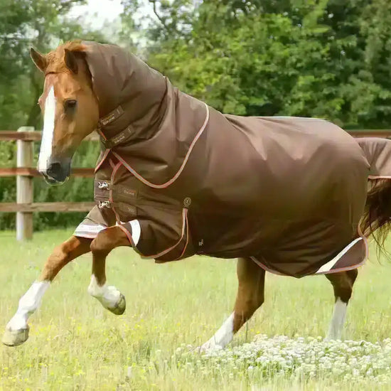 Premier Equine Titan 300g Turnout Rug with Snug-Fit Neck Cover by Premier Equine at  Try a Bit