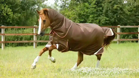 Premier Equine Titan 300g Turnout Rug with Snug-Fit Neck Cover by Premier Equine at  Try a Bit