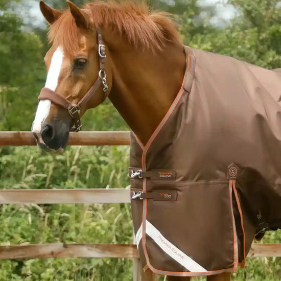 Premier Equine Titan 300g Turnout Rug with Snug-Fit Neck Cover by Premier Equine at  Try a Bit