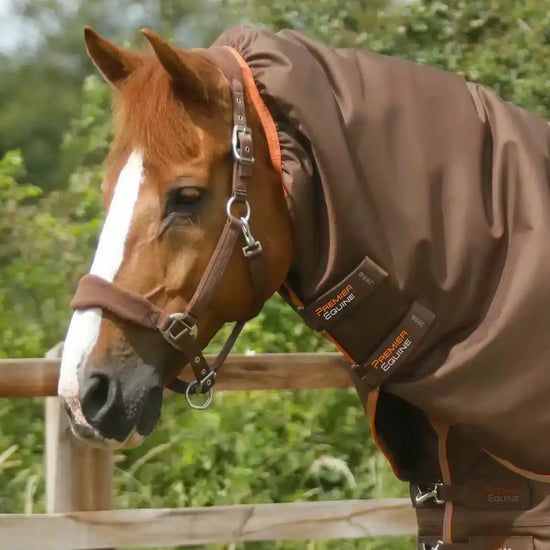 Premier Equine Titan 300g Turnout Rug with Snug-Fit Neck Cover by Premier Equine at  Try a Bit