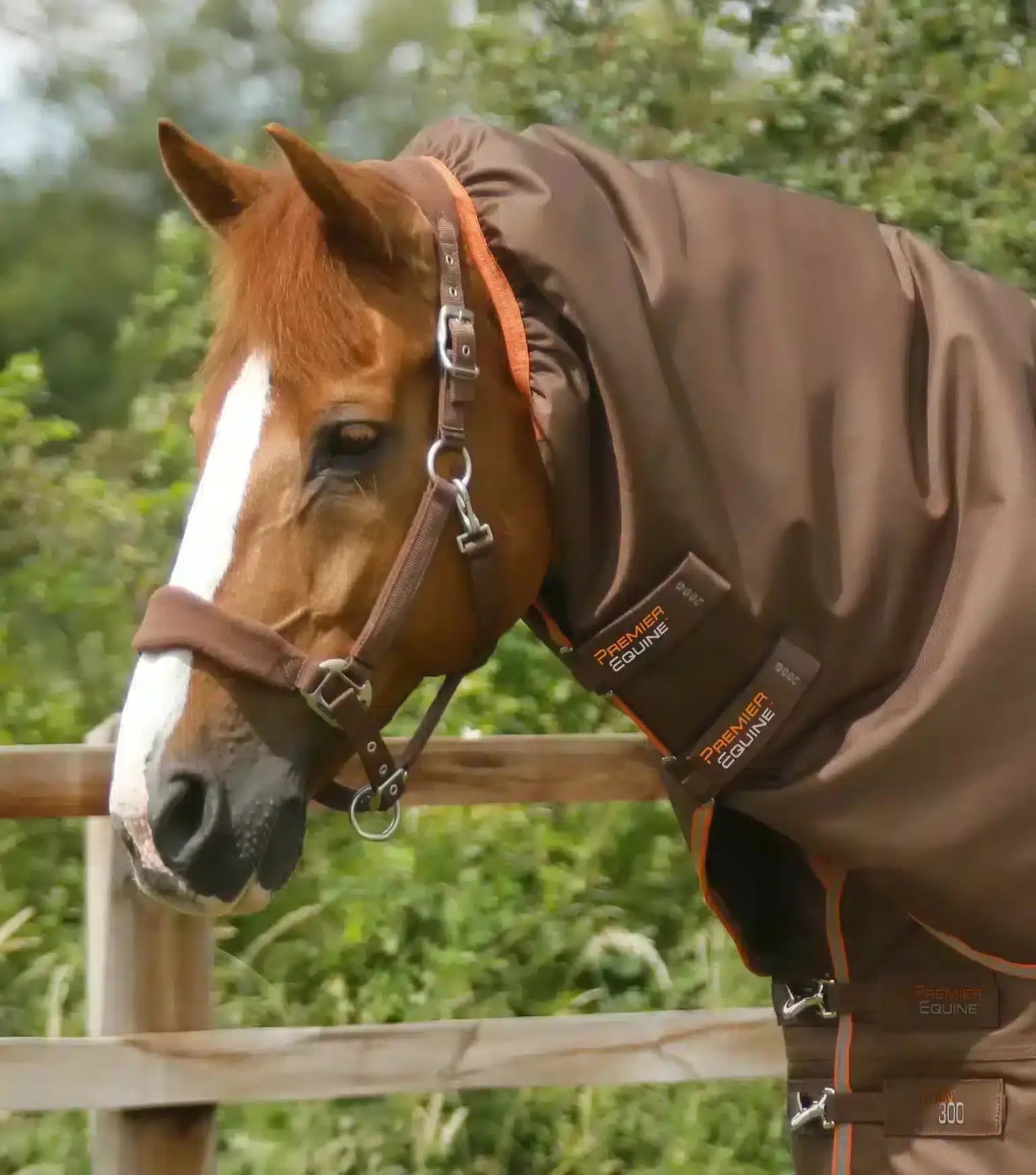 Premier Equine Titan 300g Turnout Rug with Snug-Fit Neck Cover by Premier Equine at  Try a Bit
