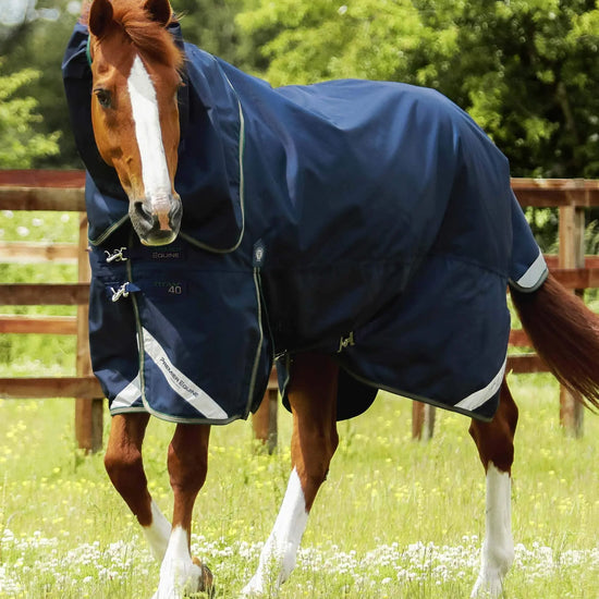 Premier Equine Titan 40g Turnout Rug with Snug-Fit Neck Cover by Premier Equine at  Try a Bit
