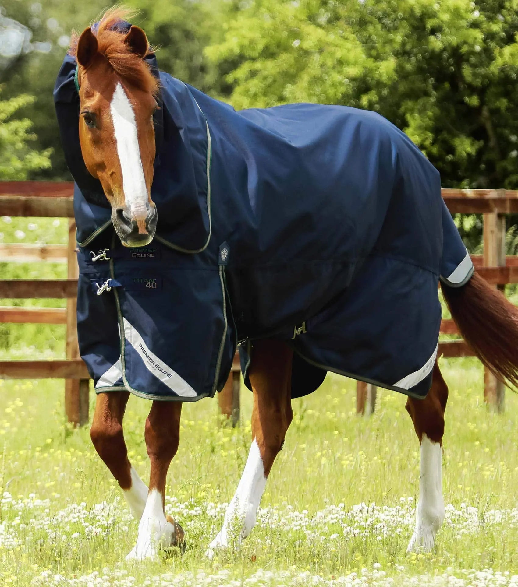 Premier Equine Titan 40g Turnout Rug with Snug-Fit Neck Cover by Premier Equine at  Try a Bit