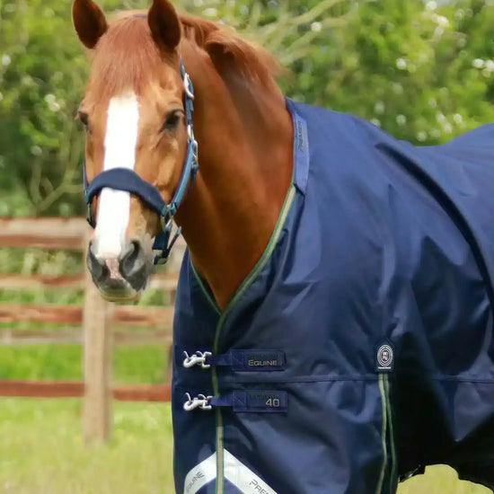 Premier Equine Titan 40g Turnout Rug with Snug-Fit Neck Cover by Premier Equine at  Try a Bit