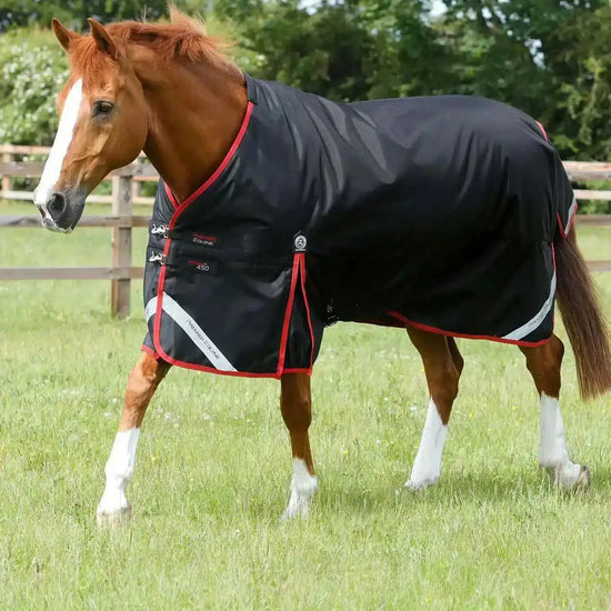 Premier Equine Titan 450g Original Turnout Rug by Premier Equine at  Try a Bit