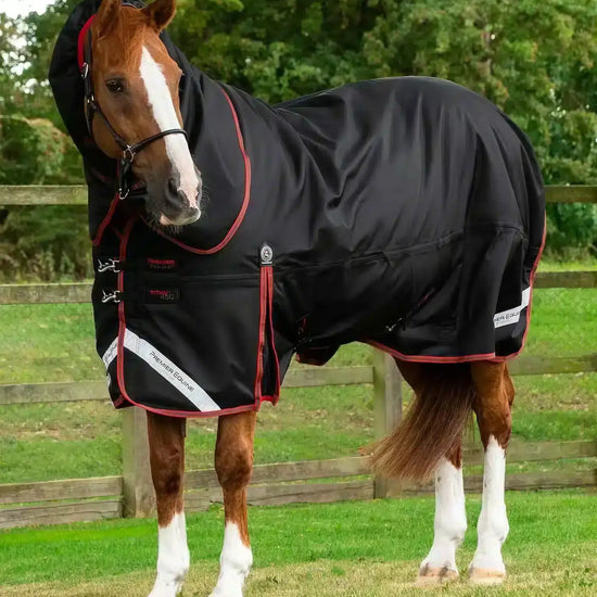 Premier Equine Titan 450g Turnout Rug with Snug-Fit Neck Cover by Premier Equine at  Try a Bit