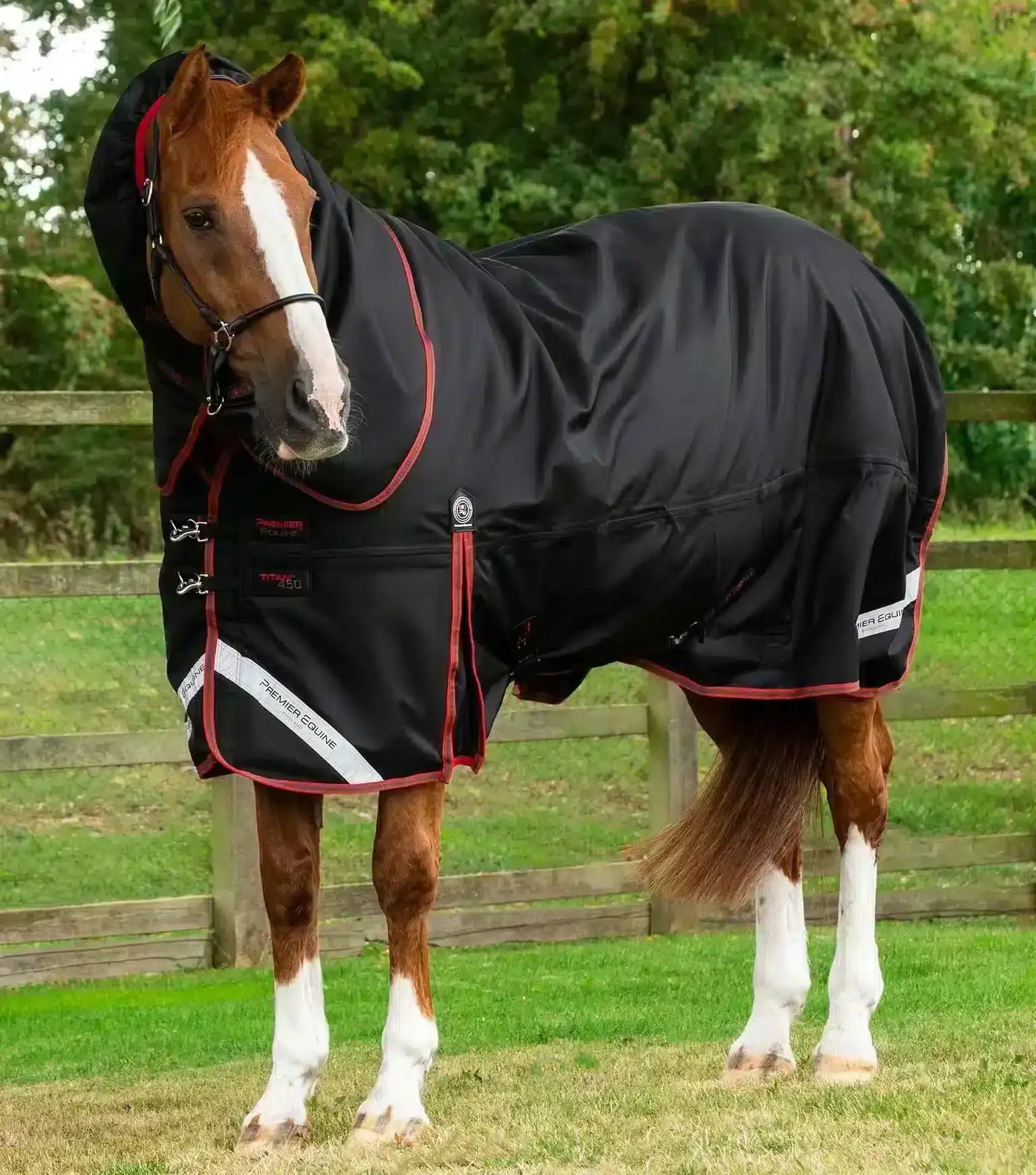 Premier Equine Titan 450g Turnout Rug with Snug-Fit Neck Cover by Premier Equine at  Try a Bit