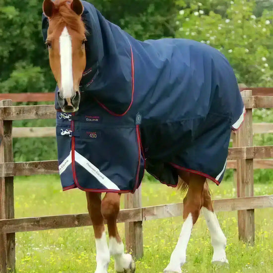 Premier Equine Titan 450g Turnout Rug with Snug-Fit Neck Cover by Premier Equine at  Try a Bit