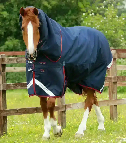 Premier Equine Titan 450g Turnout Rug with Snug-Fit Neck Cover by Premier Equine at  Try a Bit