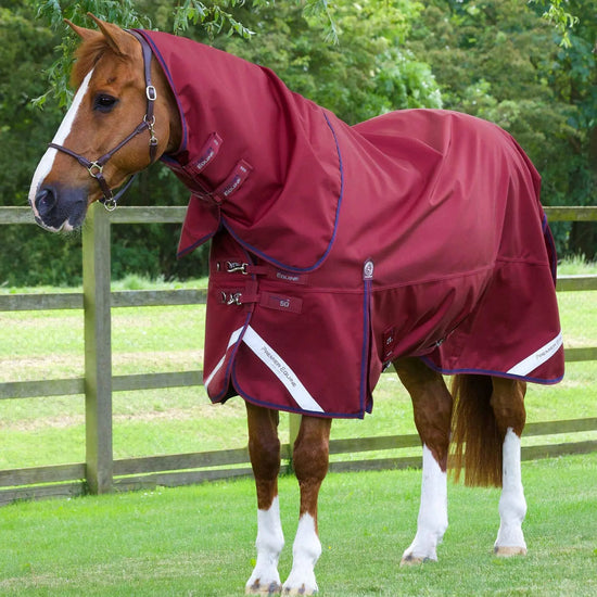 Premier Equine Titan 50g Turnout Rug with Classic Neck Cover by Premier Equine at  Try a Bit