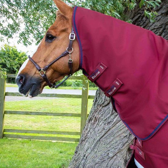 Premier Equine Titan 50g Turnout Rug with Classic Neck Cover by Premier Equine at  Try a Bit