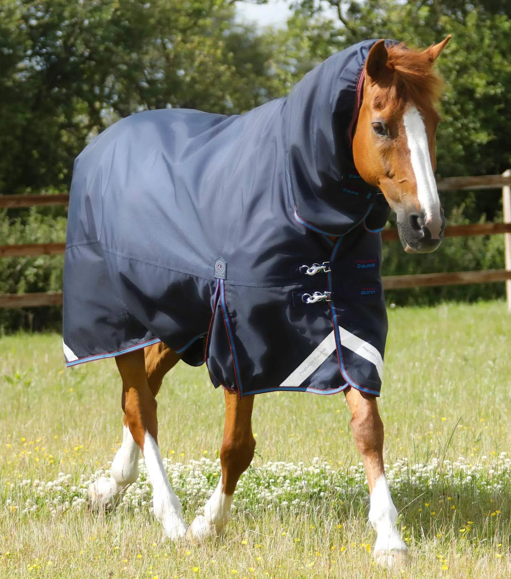 Premier Equine Titan Storm 200g Combo Turnout Rug with Snug-Fit Neck by Premier Equine at  Try a Bit