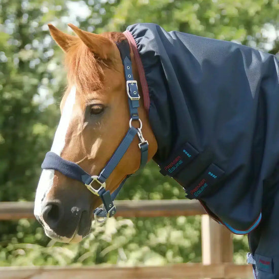 Premier Equine Titan Storm 200g Combo Turnout Rug with Snug-Fit Neck by Premier Equine at  Try a Bit