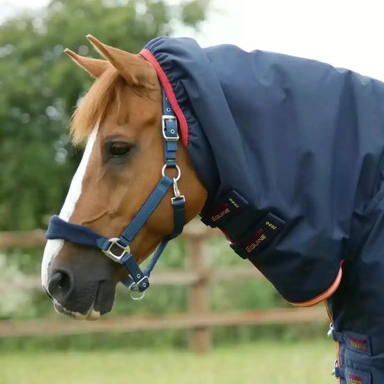 Premier Equine Titan Storm 450g Combo Turnout Rug with Snug-Fit Neck by Premier Equine at  Try a Bit