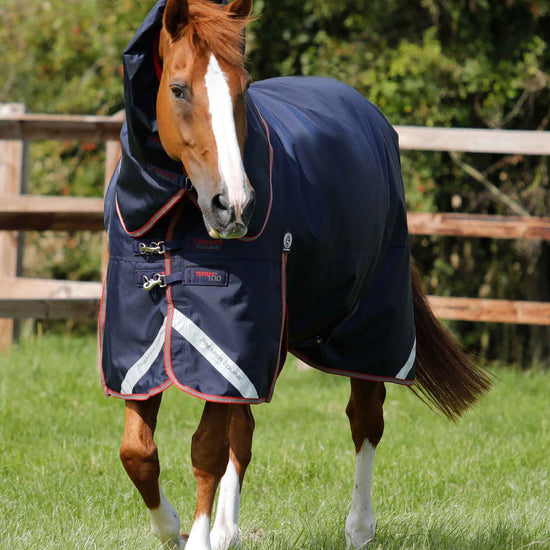 Premier Equine Titan Trio Complete 4 in 1 Turnout Rug by Premier Equine at  Try a Bit