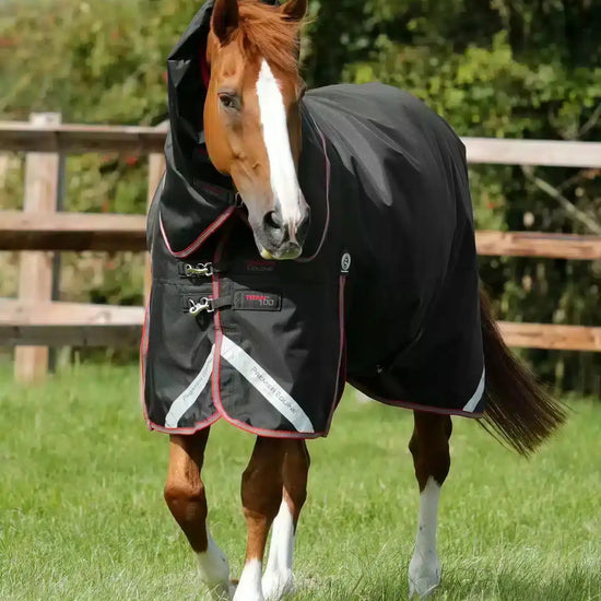 Premier Equine Titan 100g Turnout Rug with Snug-Fit Neck Cover by Premier Equine at  Try a Bit