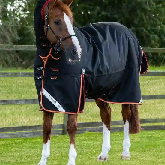 Premier Equine Titan Storm 450g Combo Turnout Rug with Snug-Fit Neck by Premier Equine at  Try a Bit