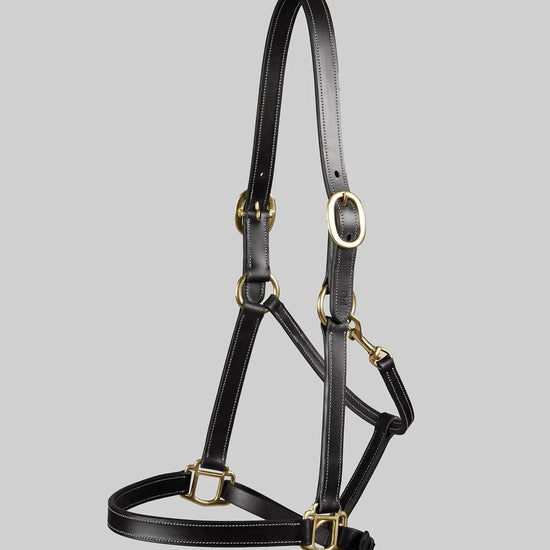 Traditional Leather Headcollar Black by Premier Equine Int. Ltd. at  Try A Bit