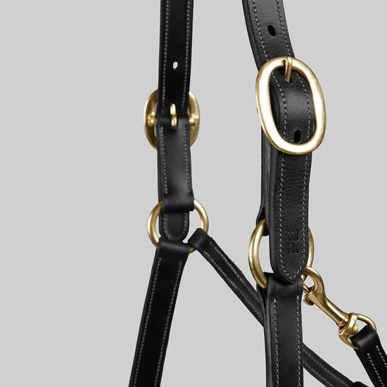 Traditional Leather Headcollar Black by Premier Equine Int. Ltd. at  Try A Bit