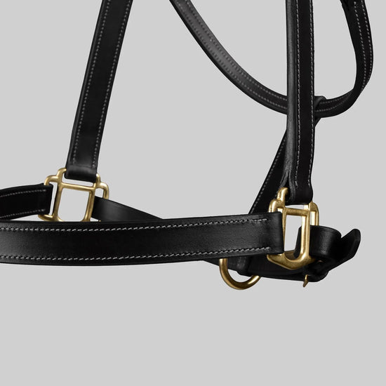 Traditional Leather Headcollar Black by Premier Equine Int. Ltd. at  Try A Bit