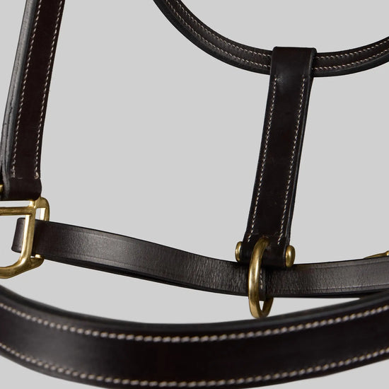 Traditional Leather Headcollar Black by Premier Equine Int. Ltd. at  Try A Bit