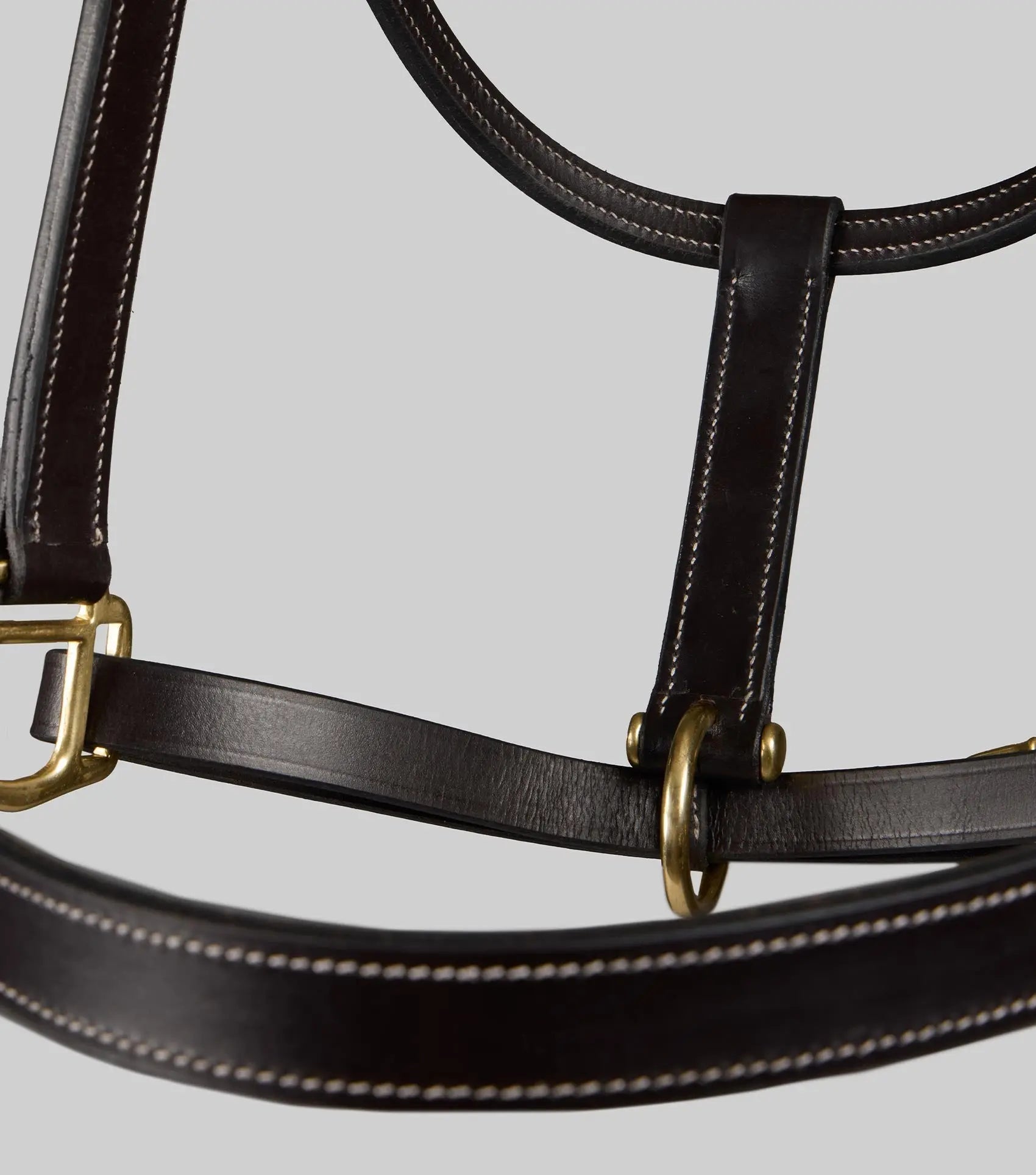 Traditional Leather Headcollar Black by Premier Equine Int. Ltd. at  Try A Bit