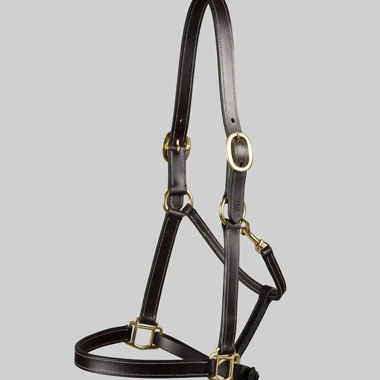 PTraditional Leather Headcollar Black by Premier Equine Int. Ltd. at  Try A Bit