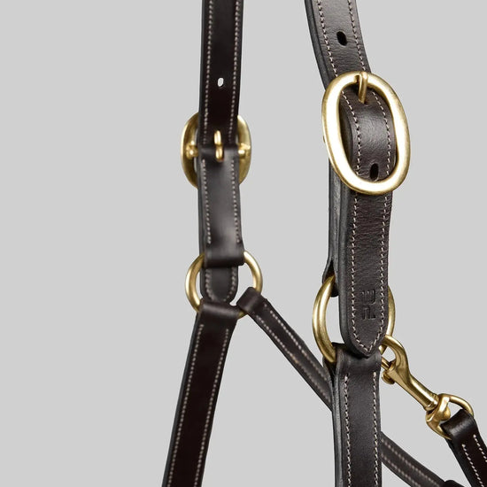 PTraditional Leather Headcollar Black by Premier Equine Int. Ltd. at  Try A Bit
