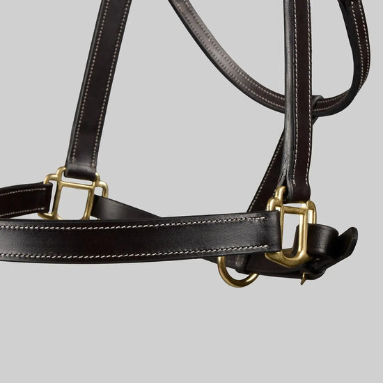 PTraditional Leather Headcollar Black by Premier Equine Int. Ltd. at  Try A Bit