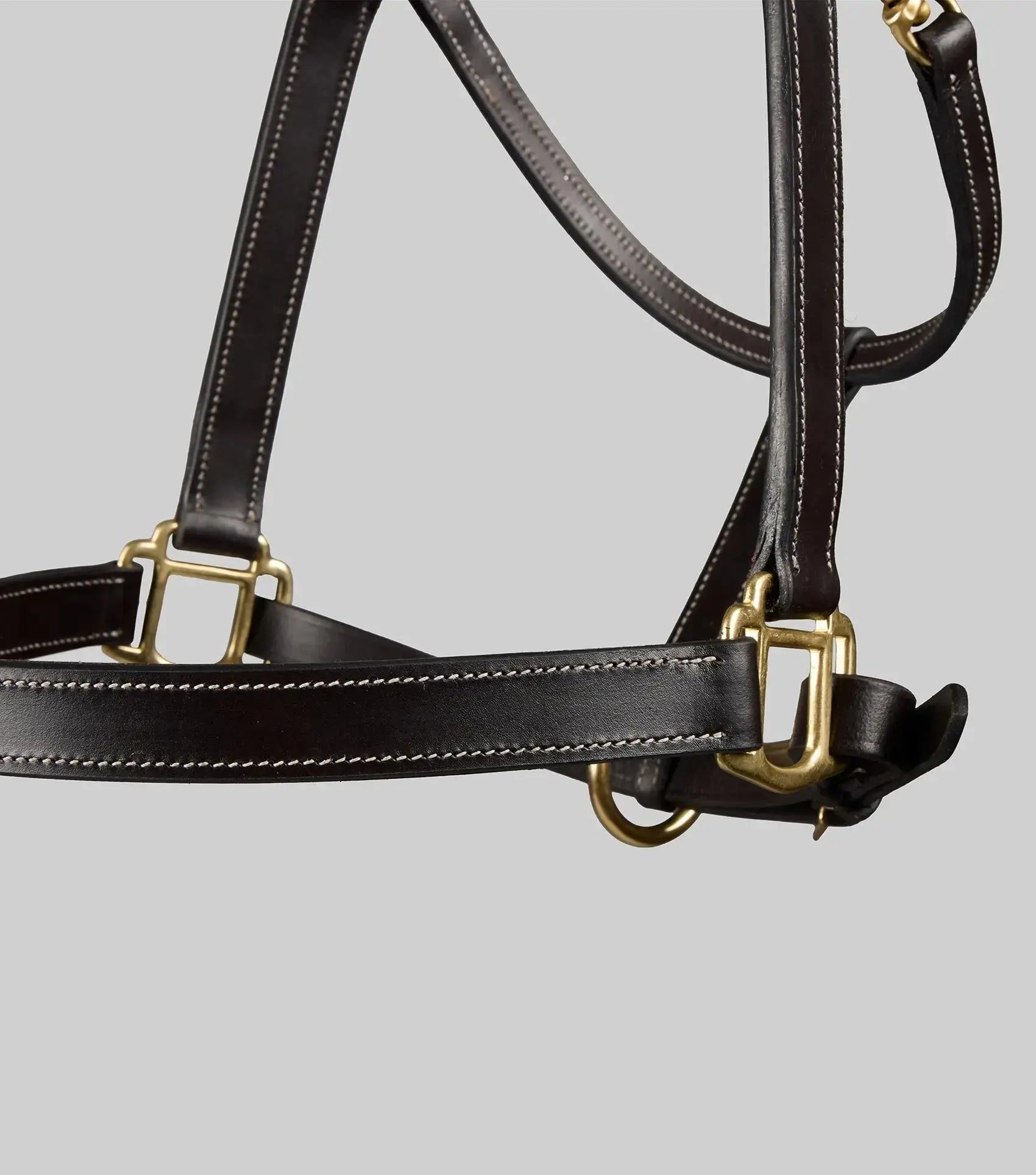 PTraditional Leather Headcollar Black by Premier Equine Int. Ltd. at  Try A Bit