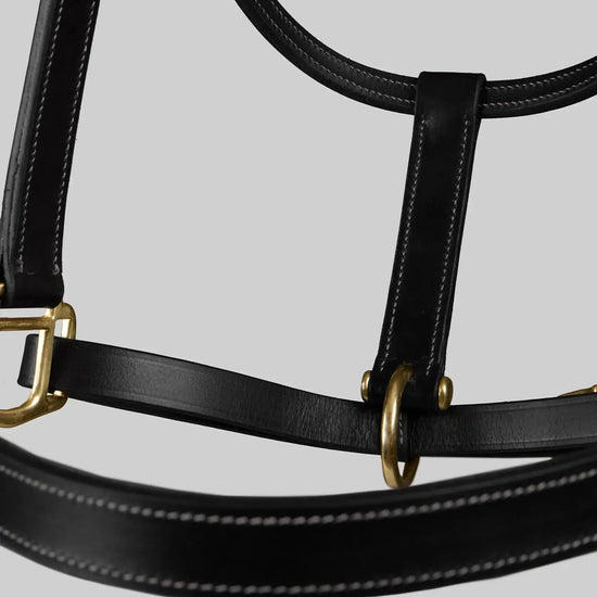PTraditional Leather Headcollar Black by Premier Equine Int. Ltd. at  Try A Bit