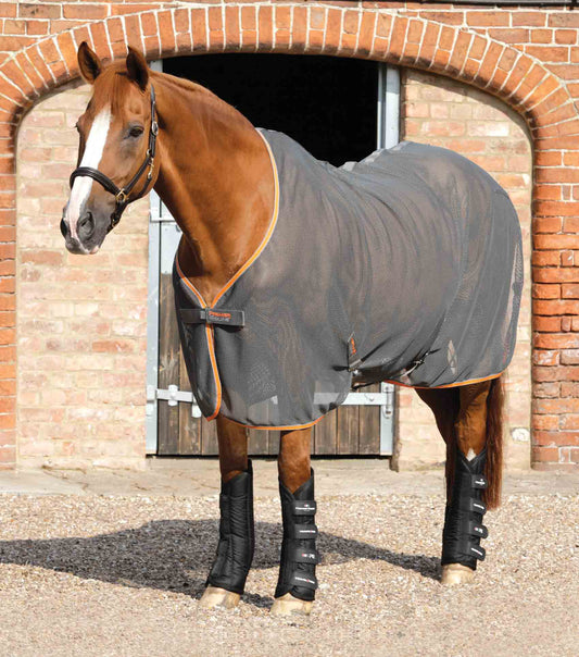 Premier Equine Travel-Tech Travel Boots by Premier Equine at  Try a Bit