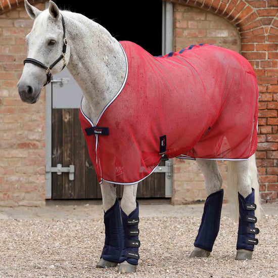 Premier Equine Travel-Tech Travel Boots by Premier Equine at  Try a Bit