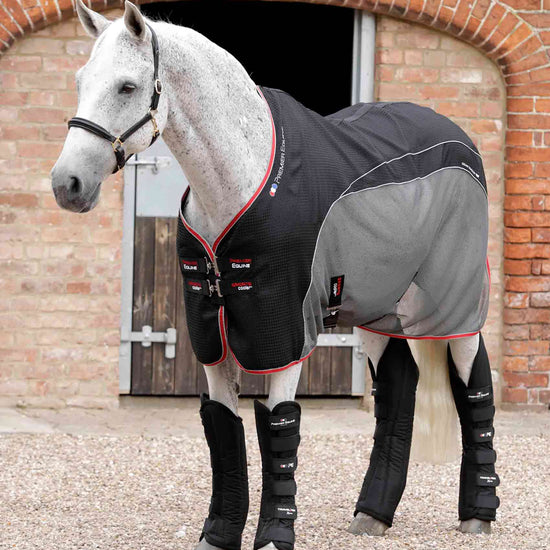 Premier Equine Travel-Tech Xtra Travel Boots by Premier Equine at  Try a Bit