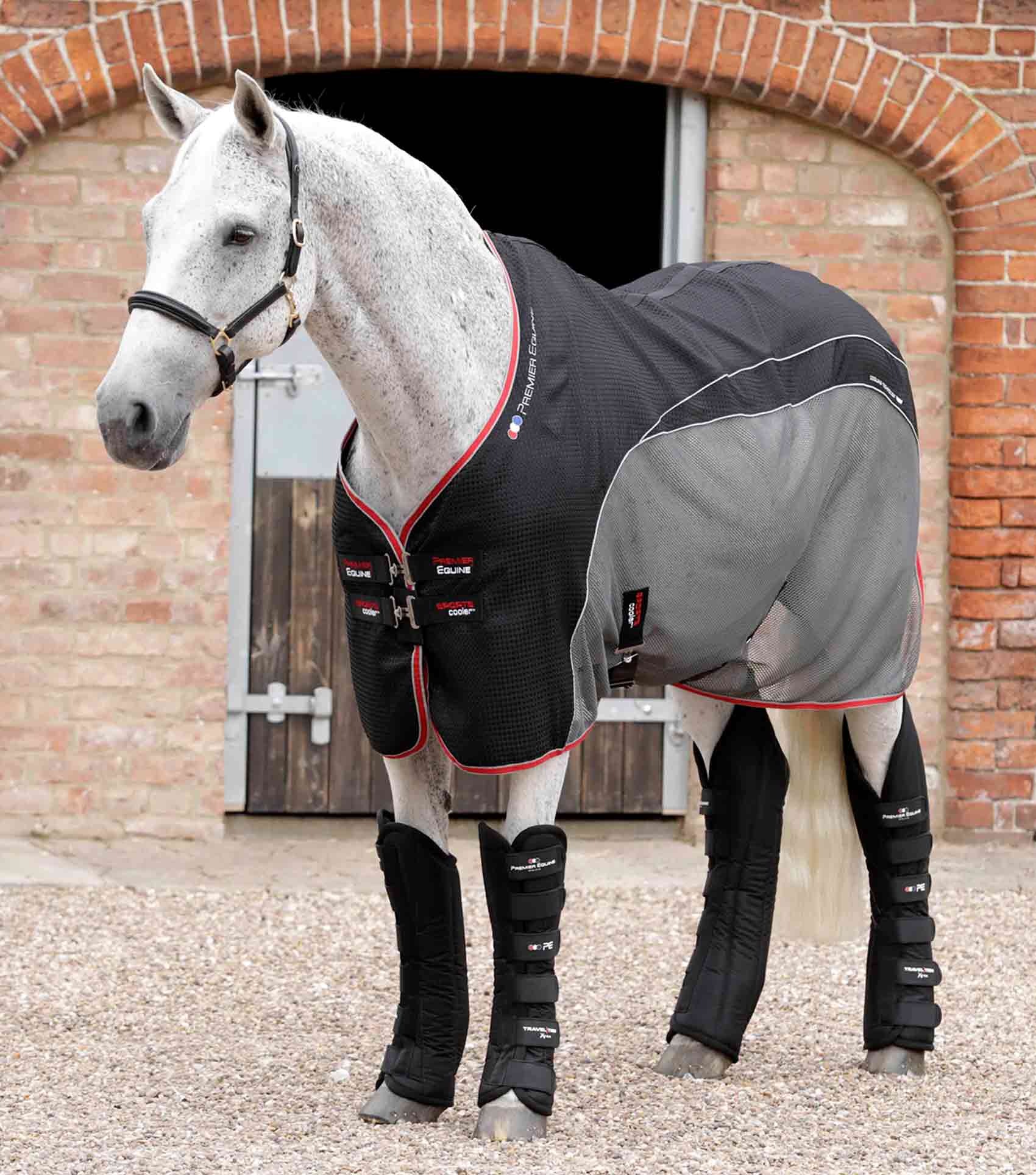 Premier Equine Travel-Tech Xtra Travel Boots by Premier Equine at  Try a Bit