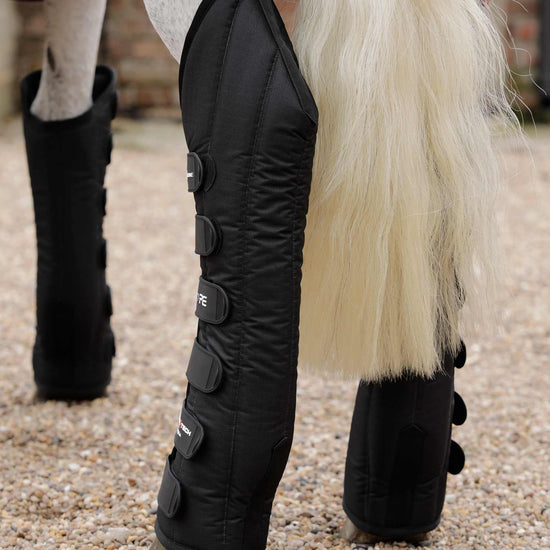 Premier Equine Travel-Tech Xtra Travel Boots by Premier Equine at  Try a Bit