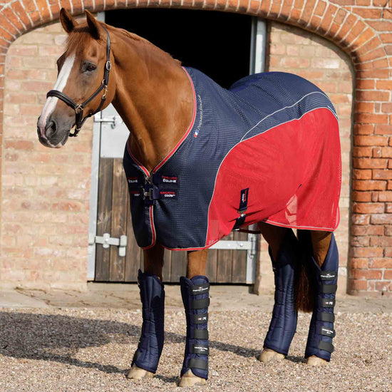 Premier Equine Travel-Tech Xtra Travel Boots by Premier Equine at  Try a Bit