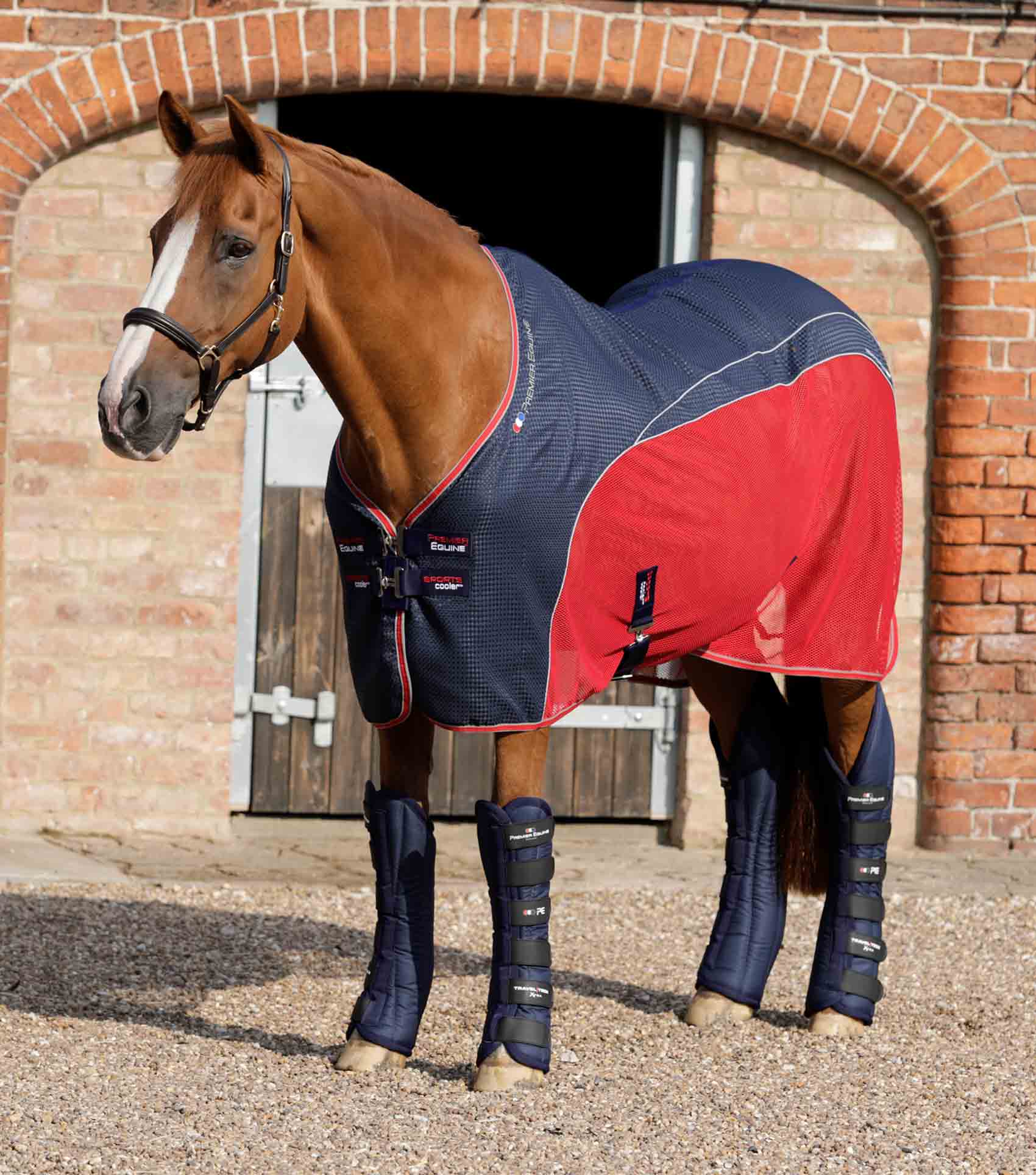 Premier Equine Travel-Tech Xtra Travel Boots by Premier Equine at  Try a Bit