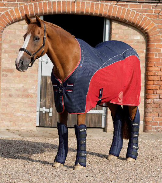 Premier Equine Travel-Tech Xtra Travel Boots by Premier Equine at  Try a Bit