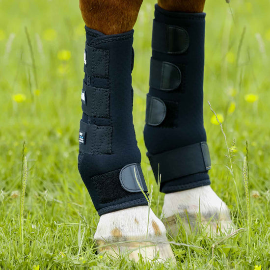 Premier Equine Turnout Boots by Premier Equine at  Try a Bit