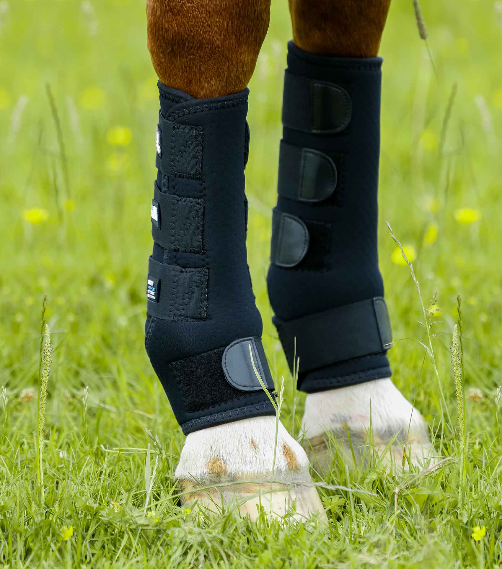 Premier Equine Turnout Boots by Premier Equine at  Try a Bit